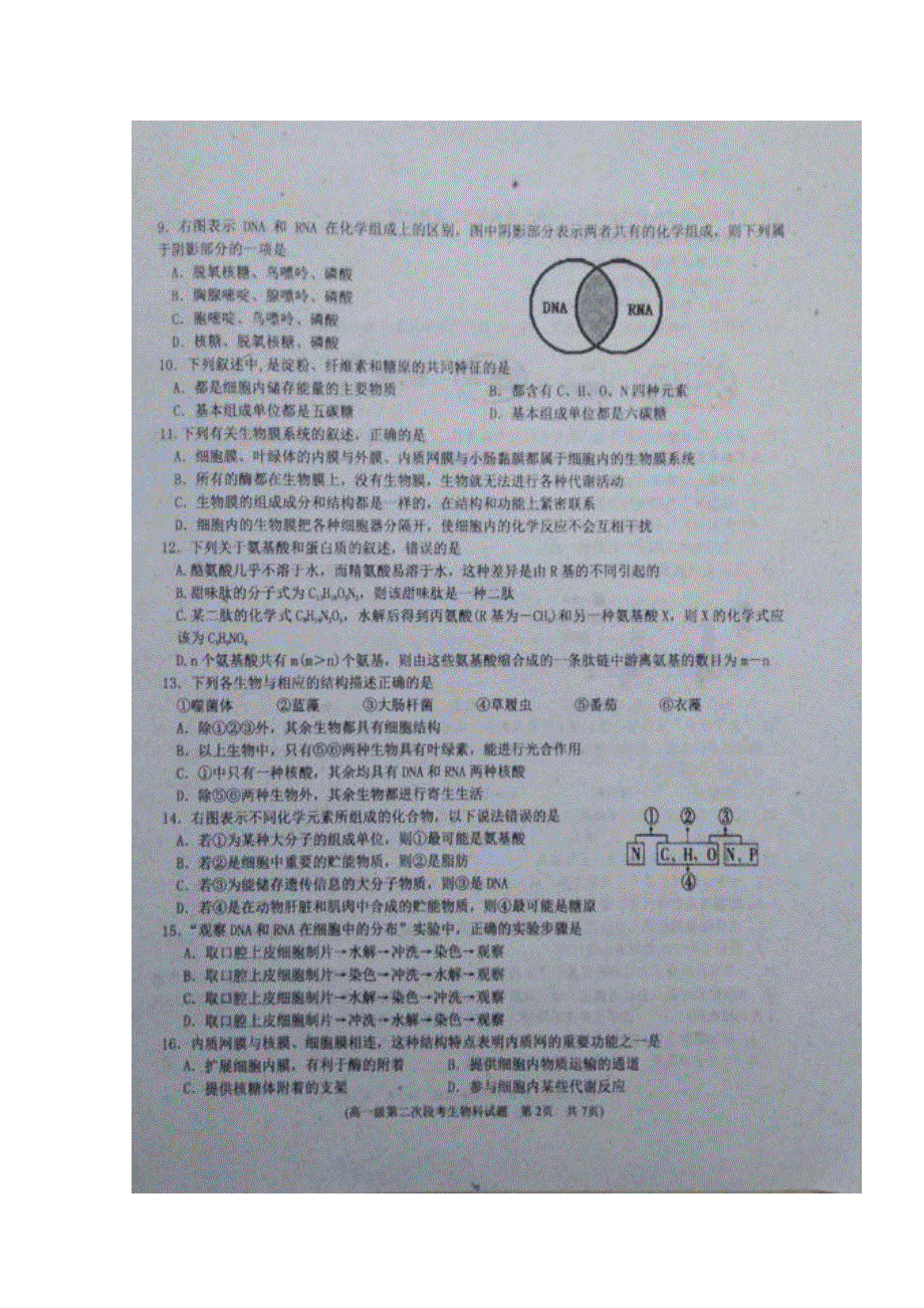 广东省揭阳市第一中学2016-2017学年高一上学期第二次阶段性考试生物试题 扫描版含答案.doc_第2页