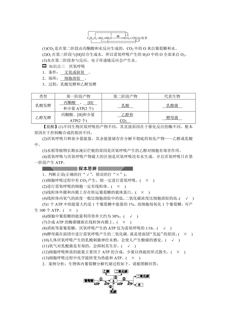 新教材2021-2022学年高一生物浙科版必修第一册学案：第三章第四节第1课时细胞呼吸的过程 WORD版含答案.docx_第2页