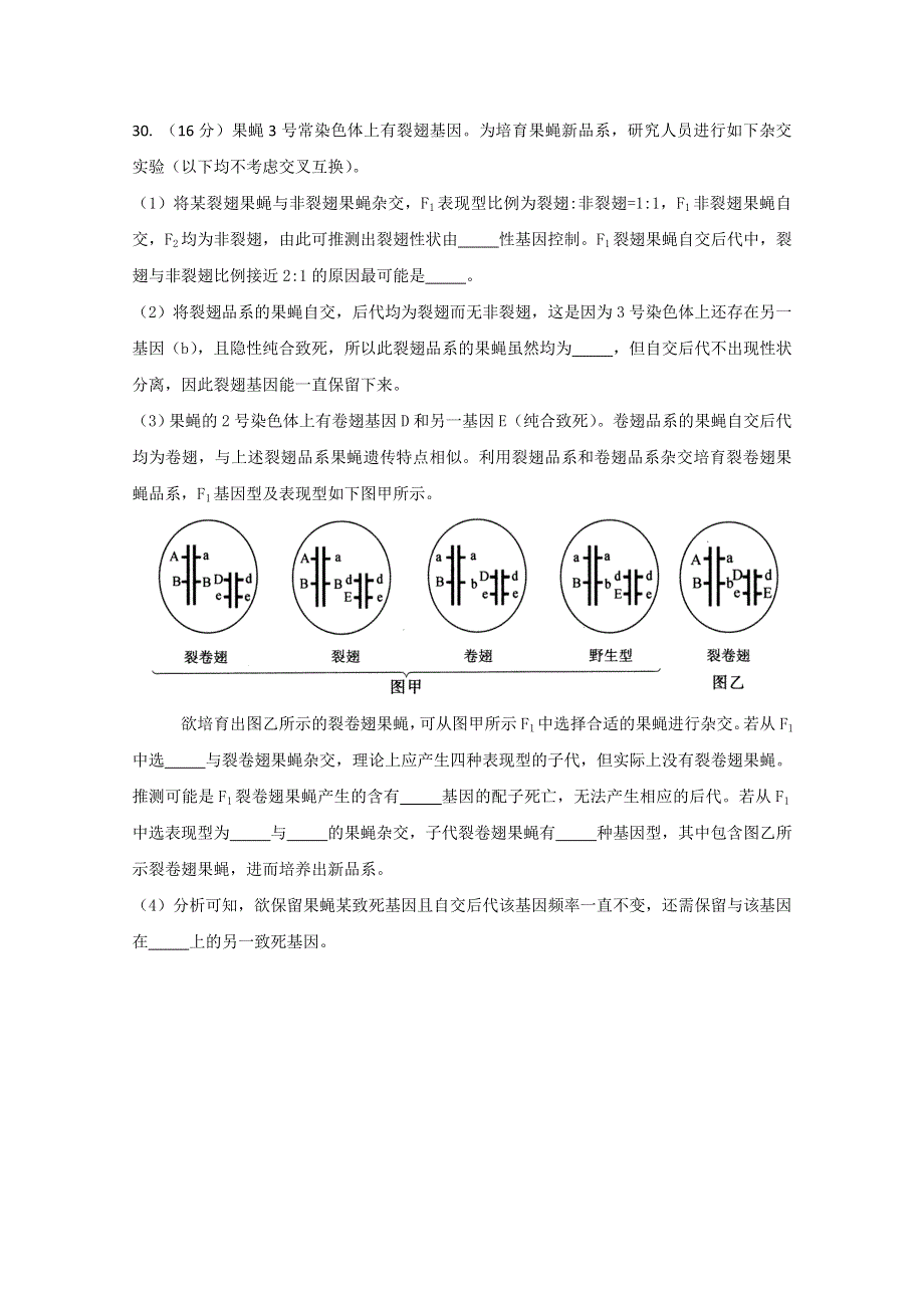 北京市东城区2015届高三4月综合练习（一） 生物 WORD版含答案.doc_第3页