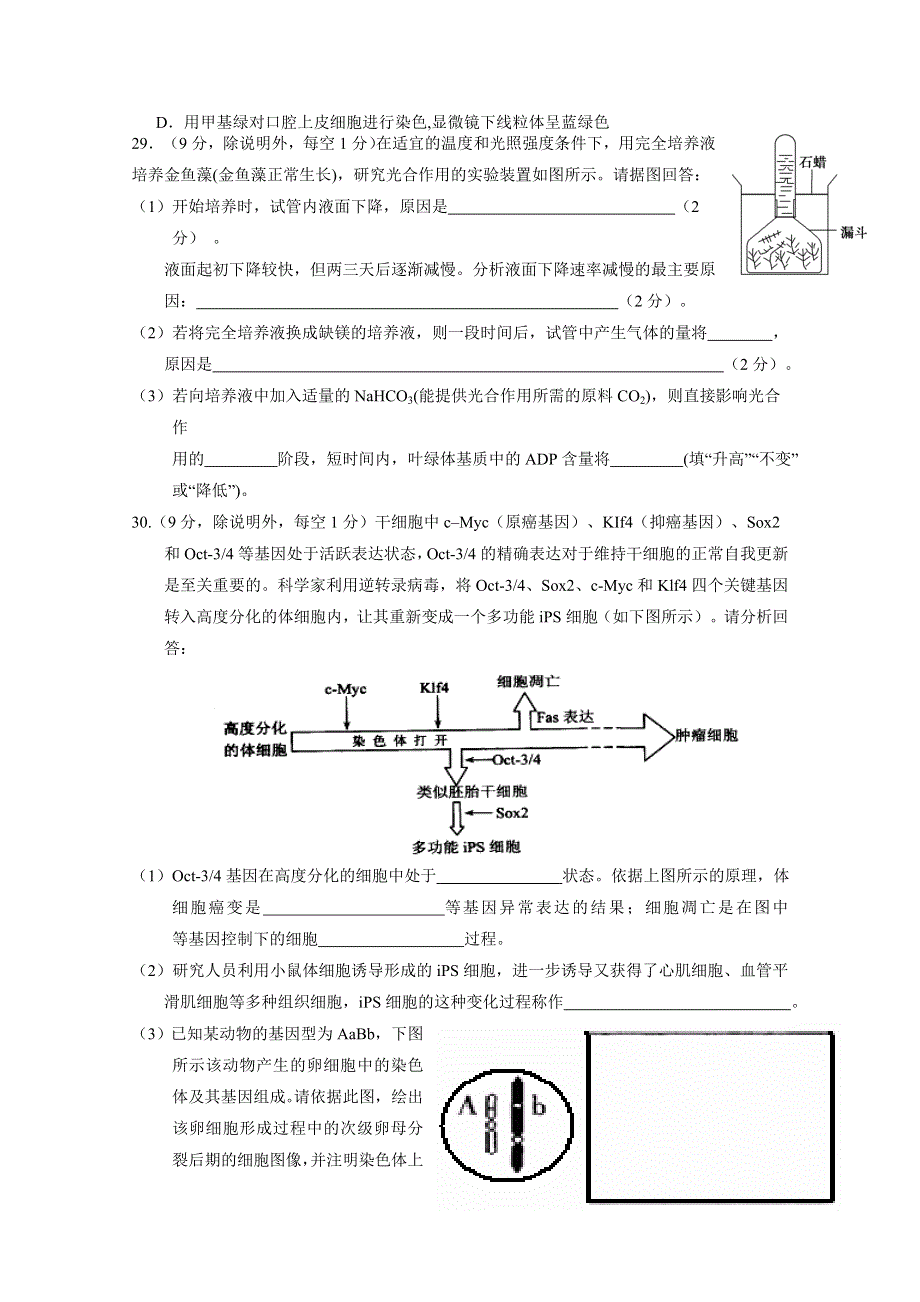 广东省揭阳市第一中学2016届高三上学期第一次段考生物试题 WORD版含答案.doc_第2页