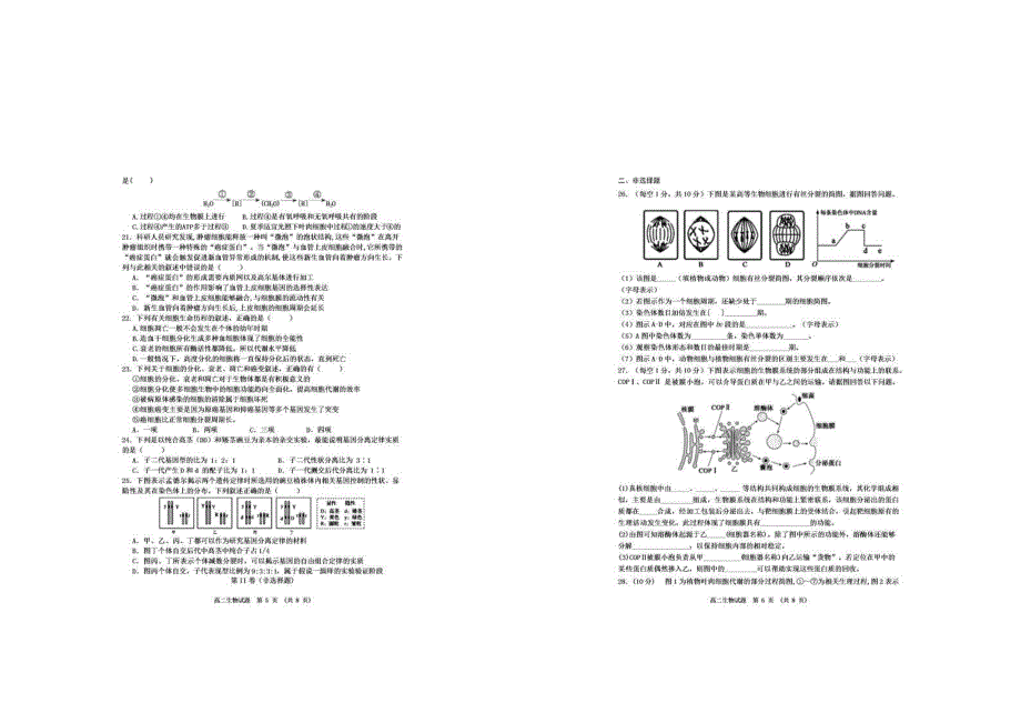 江西省新余市2019-2020学年高二上学期期末质量检测生物试题 PDF版含答案.pdf_第3页