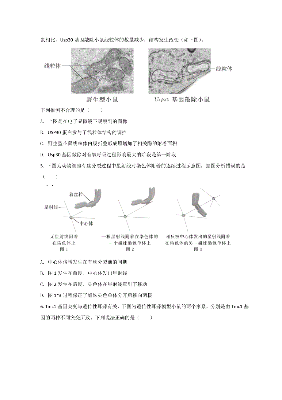 北京市东城区2022届高三下学期一模考试生物试题 WORD版含答案.doc_第2页