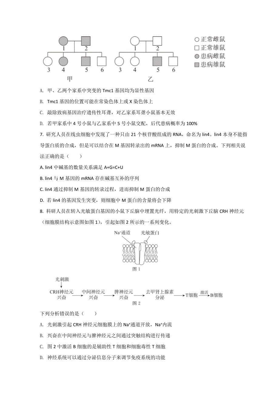 北京市东城区2022届高三下学期一模考试生物试题 WORD版含答案.doc_第3页