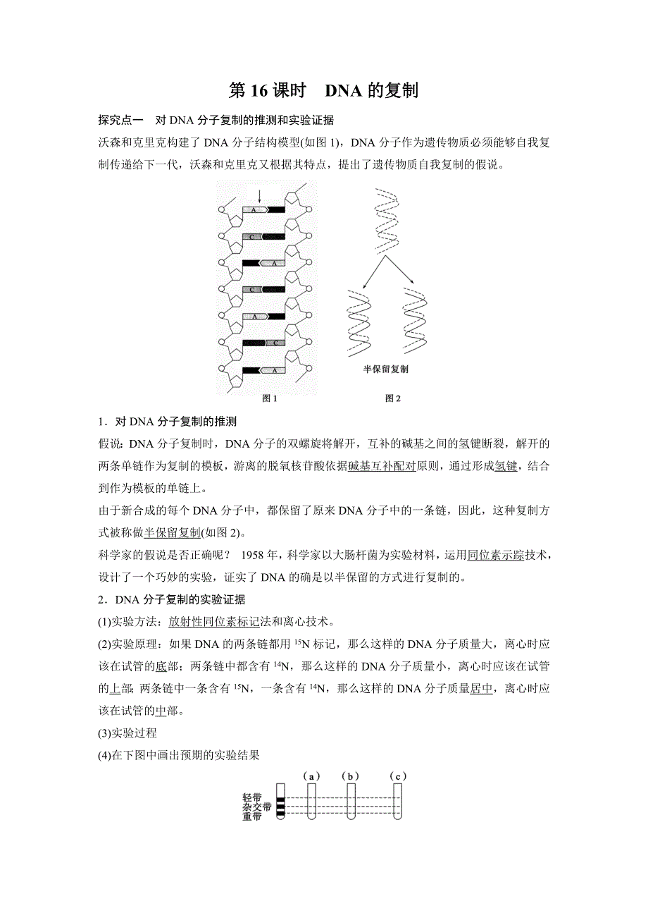 山东省济宁市学而优教育咨询有限公司2016-2017学年高一下学期生物暑假学案：第二课时第16课时　DNA的复制 .doc_第1页