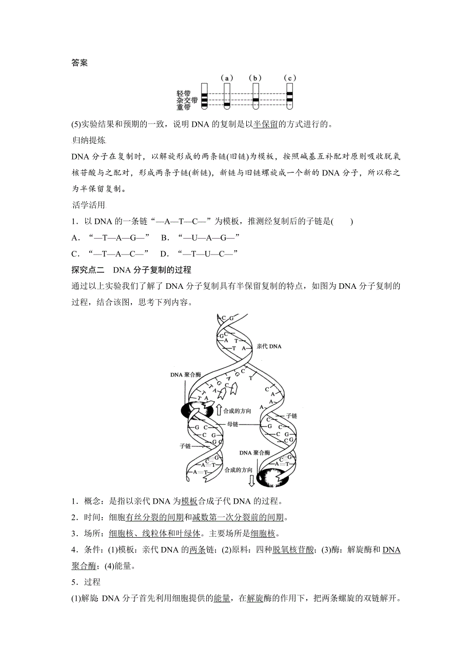 山东省济宁市学而优教育咨询有限公司2016-2017学年高一下学期生物暑假学案：第二课时第16课时　DNA的复制 .doc_第2页