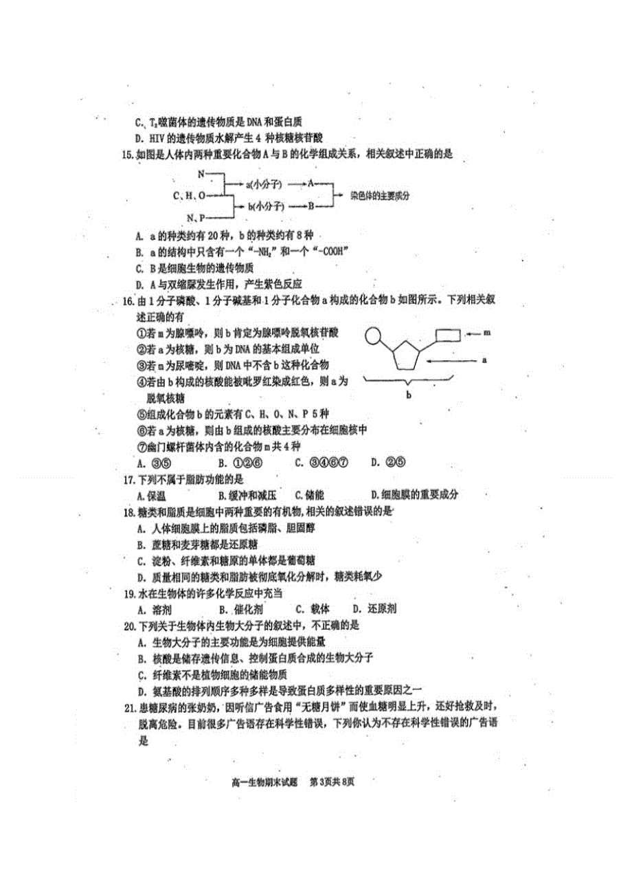 四川省雅安市2016-2017学年高一上学期期末考试生物试题 扫描版含答案.doc_第3页