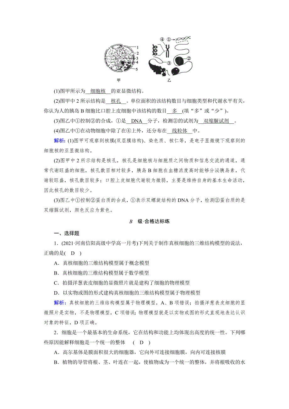 新教材2021-2022学年高一生物人教版（2019）必修1作业：第3章 第3节 细胞核的结构和功能 WORD版含解析.doc_第3页