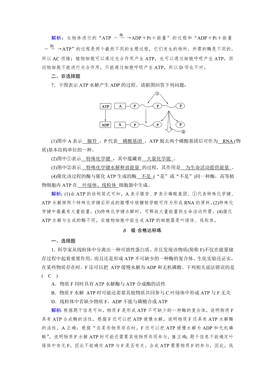 新教材2021-2022学年高一生物人教版（2019）必修1作业：第5章 第2节 细胞的能量“货币”ATP WORD版含解析.doc_第3页