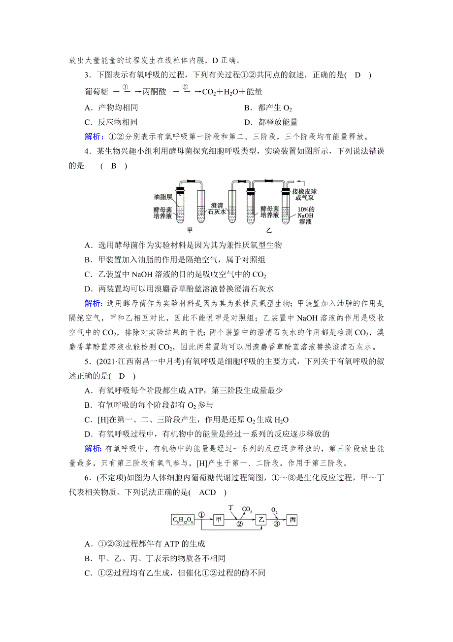 新教材2021-2022学年高一生物人教版（2019）必修1作业：第5章 第3节 第1课时 细胞呼吸的方式和有氧呼吸过程 WORD版含解析.doc_第2页