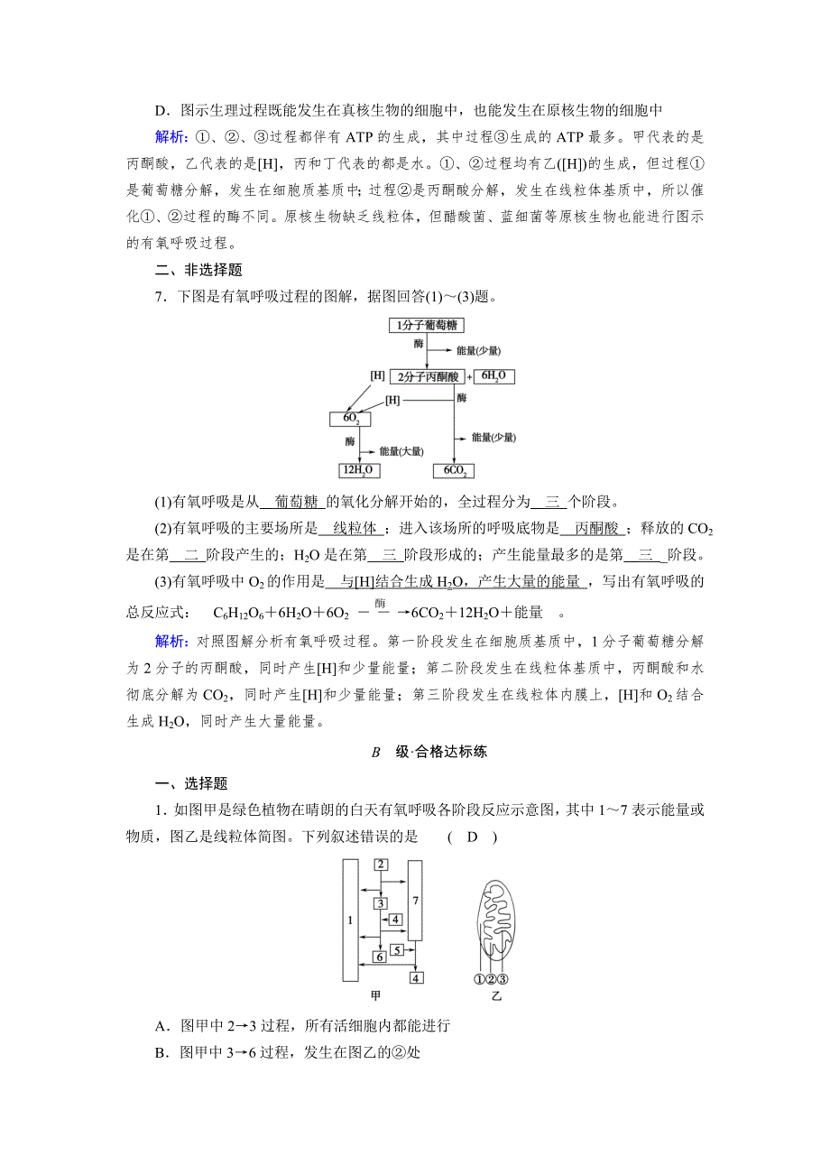 新教材2021-2022学年高一生物人教版（2019）必修1作业：第5章 第3节 第1课时 细胞呼吸的方式和有氧呼吸过程 WORD版含解析.doc_第3页