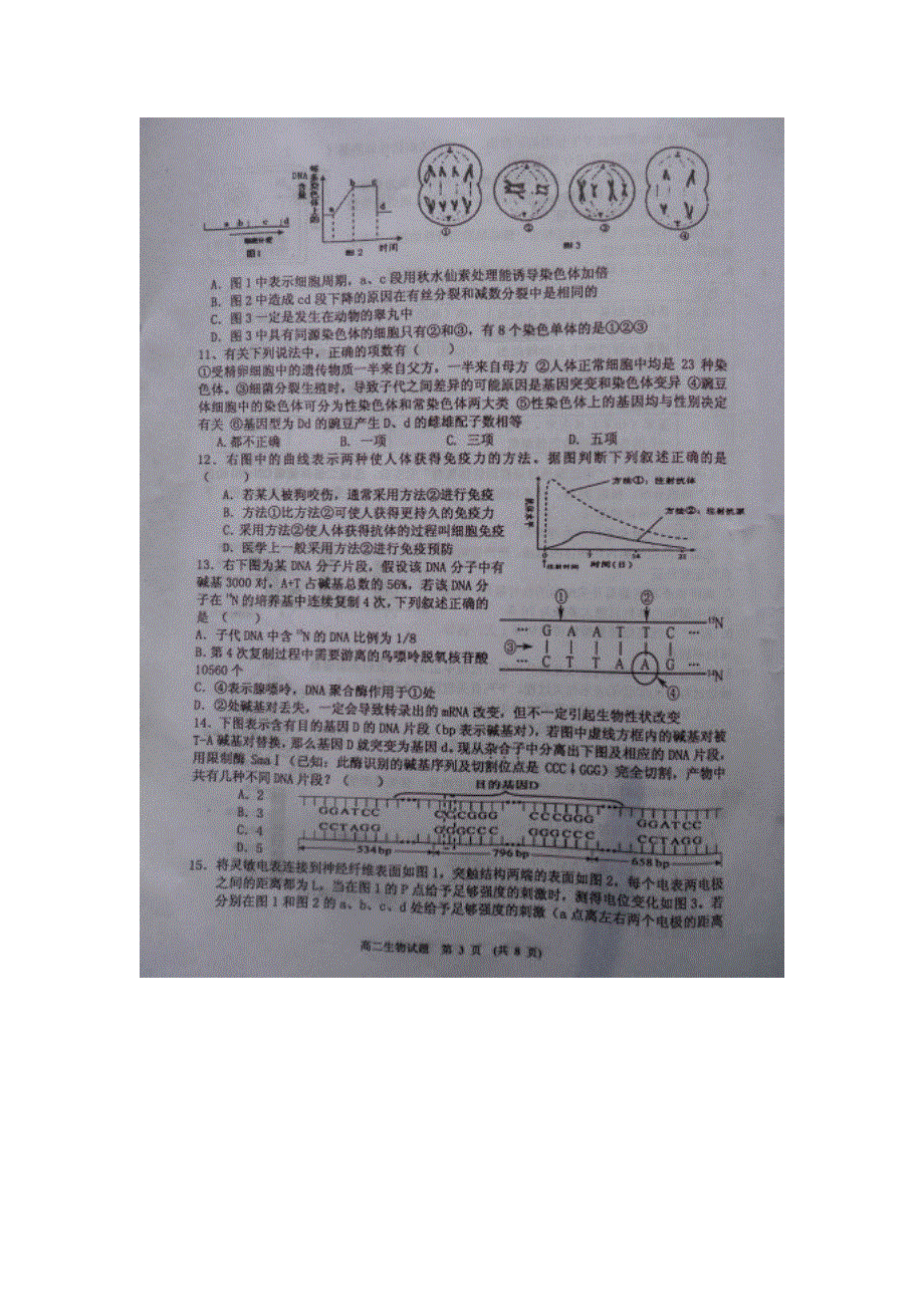 江西省新余市2012-2013学年高二下学期期末质量检测生物试题 扫描版含答案.doc_第3页