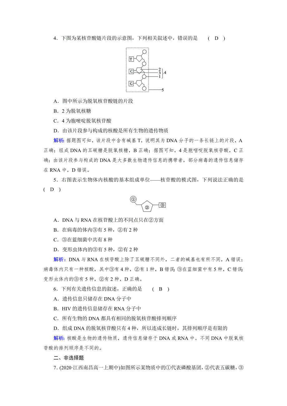 新教材2021-2022学年高一生物人教版（2019）必修1作业：第2章 第5节 核酸是遗传信息的携带者 WORD版含解析.doc_第2页