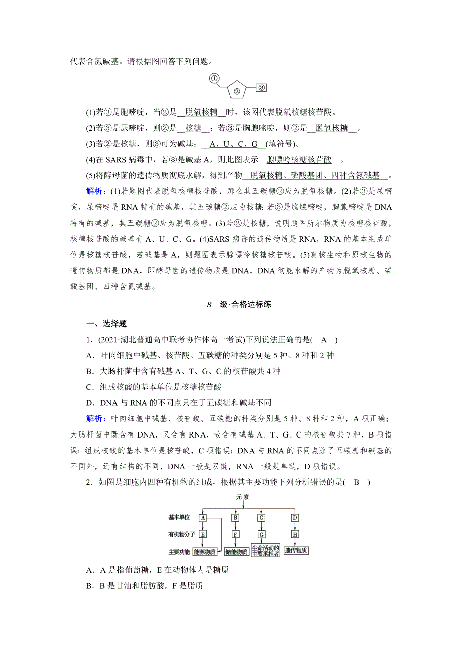 新教材2021-2022学年高一生物人教版（2019）必修1作业：第2章 第5节 核酸是遗传信息的携带者 WORD版含解析.doc_第3页