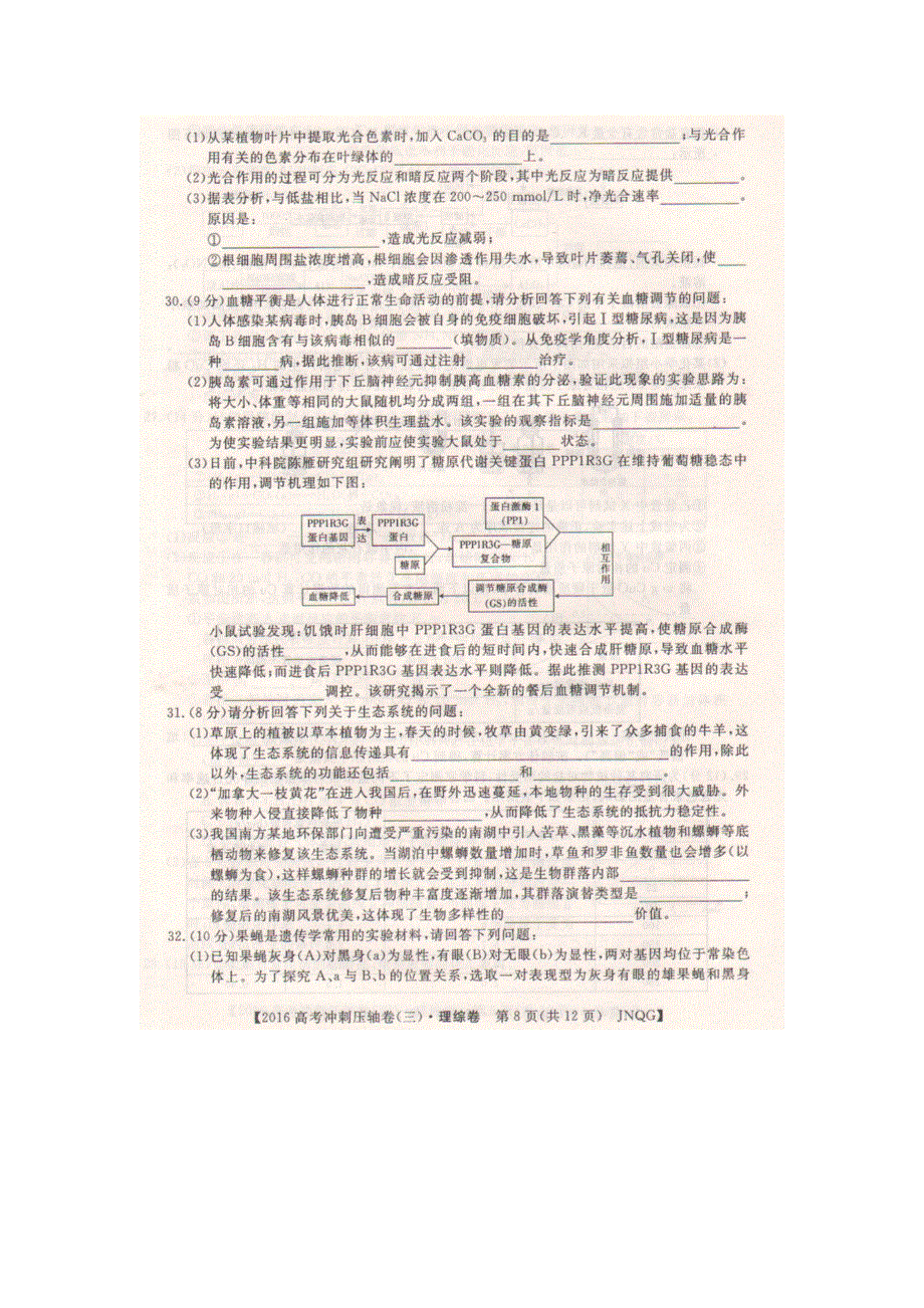 2016年全国高考冲刺压轴卷（湖南）生物（三） 扫描版含答案.doc_第3页