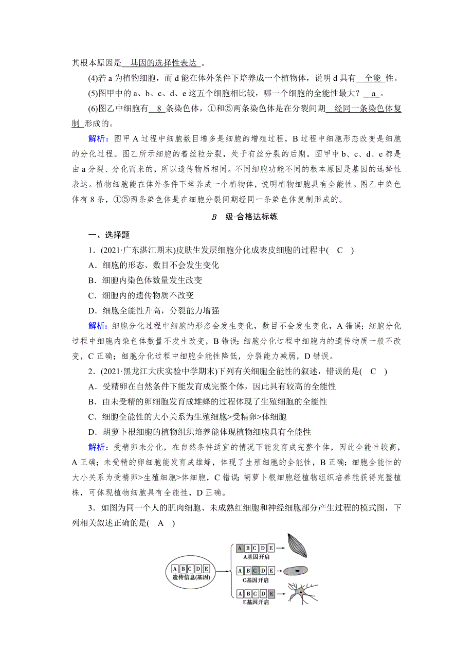 新教材2021-2022学年高一生物人教版（2019）必修1作业：第6章 第2节 细胞的分化 WORD版含解析.doc_第3页