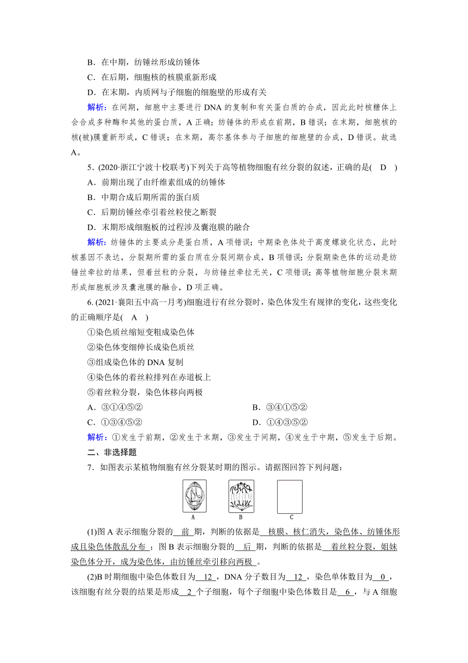 新教材2021-2022学年高一生物人教版（2019）必修1作业：第6章 第1节 第1课时 细胞周期和有丝分裂的过程 WORD版含解析.doc_第2页