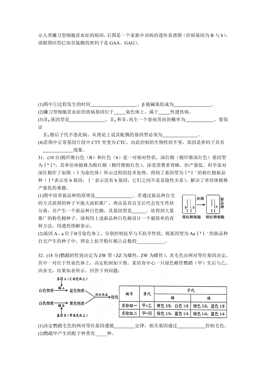 内蒙古包头市第九中学2016届高三上学期期中考试生物试题 WORD版含答案.doc_第3页