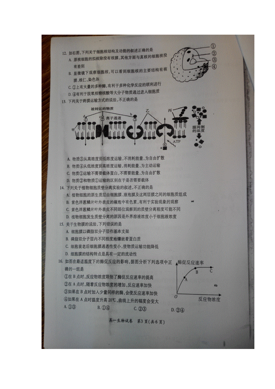 广西陆川县中学2016-2017学年高一上学期期末考试生物试题 扫描版缺答案.doc_第3页