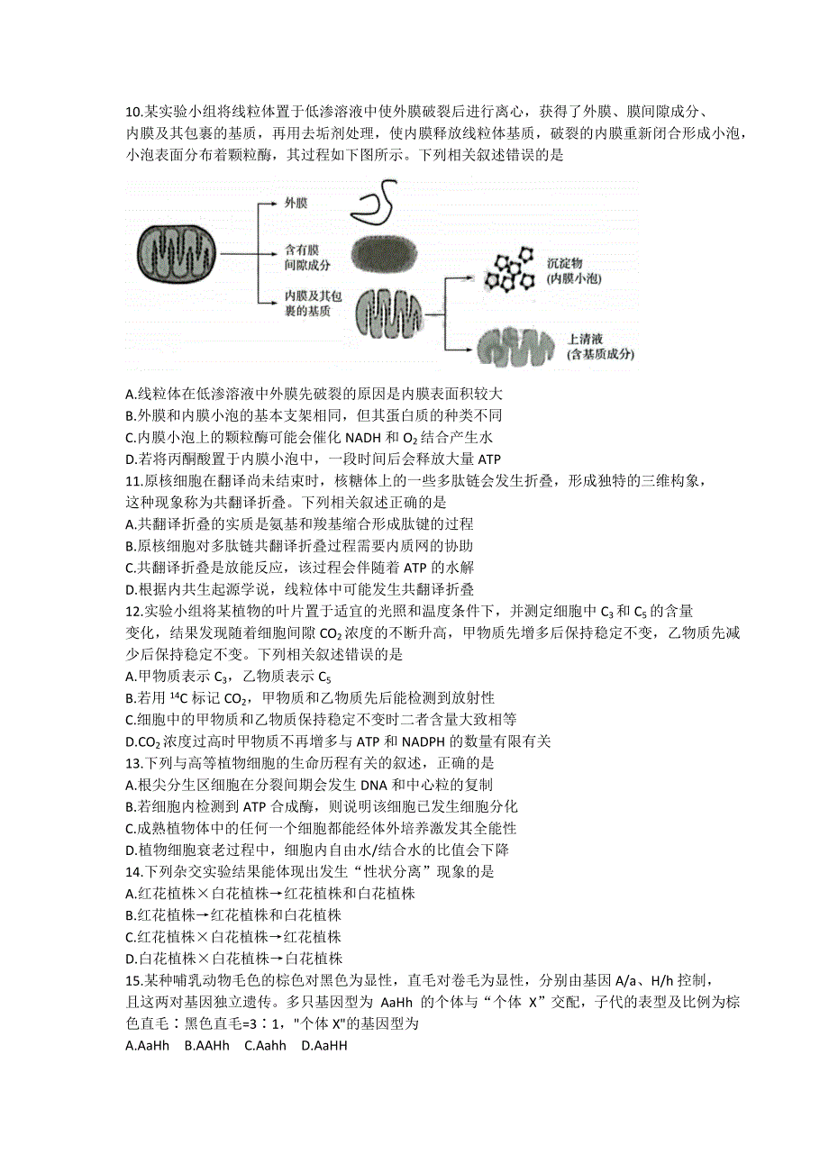 山西省三晋名校联盟2022—2023学年高三生物上学期阶段性测试（二）.docx_第3页