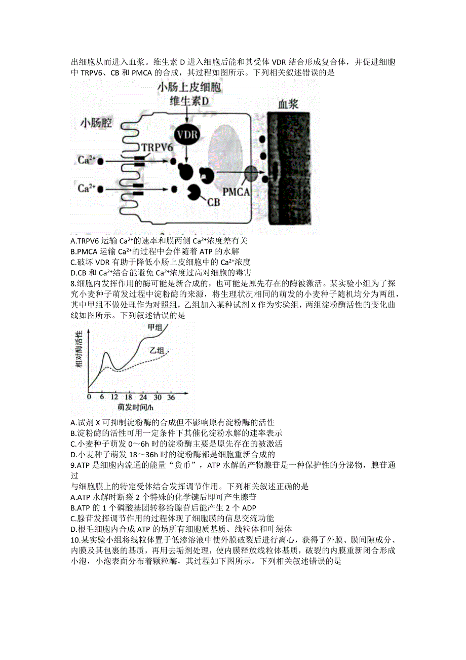 山西省三晋名校联盟2022—2023学年高三上学期毕业班阶段性测试（二）生物 WORD版含答案.docx_第2页