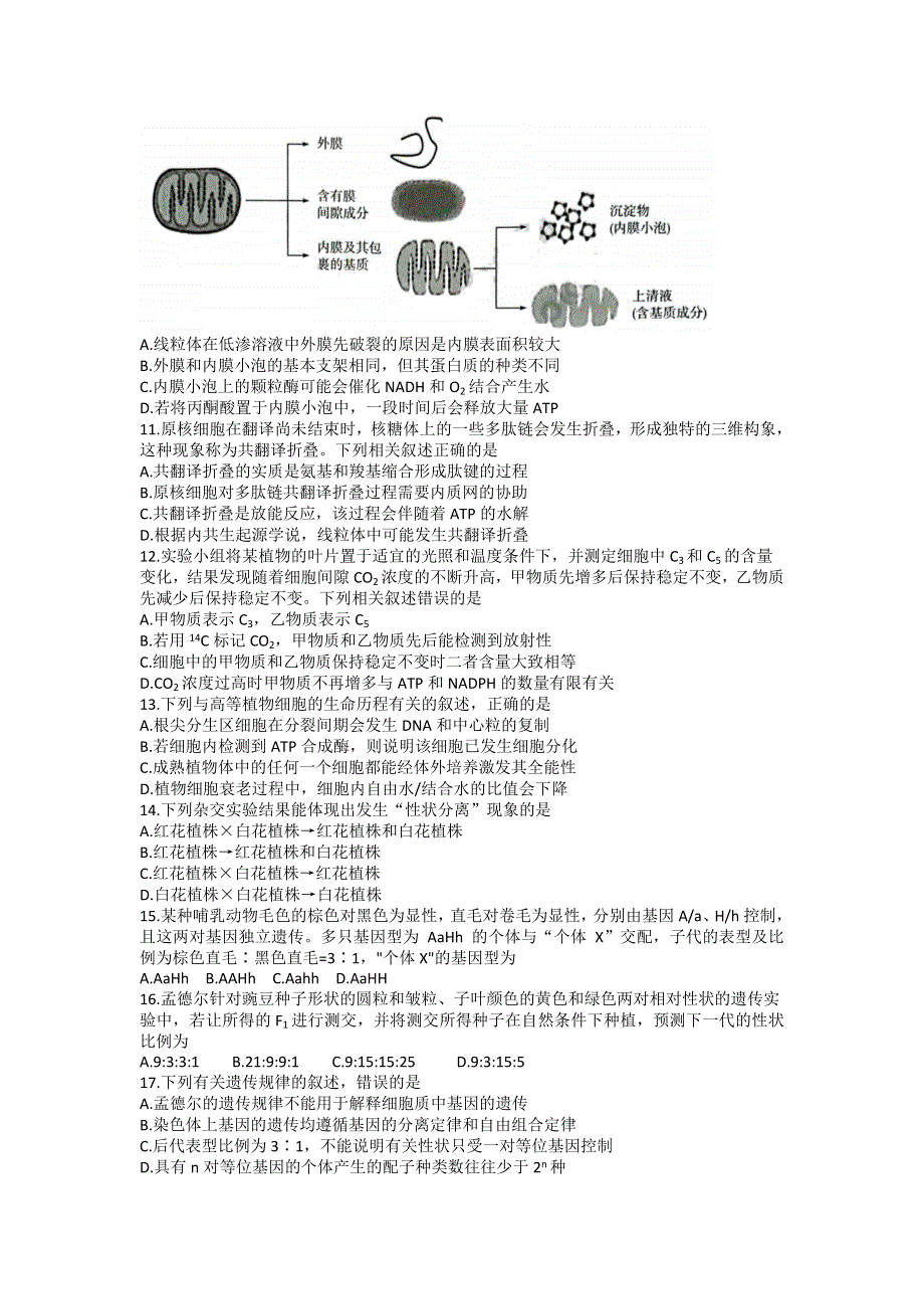 山西省三晋名校联盟2022—2023学年高三上学期毕业班阶段性测试（二）生物 WORD版含答案.docx_第3页