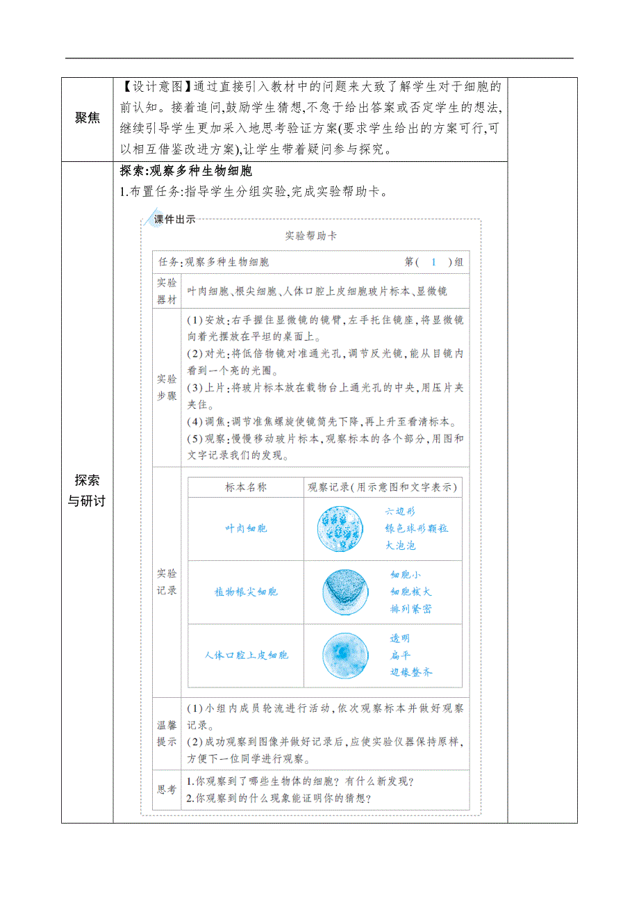 教科版六年级科学上册第一单元微小世界第5课 观察更多的生物细胞 教案.docx_第2页