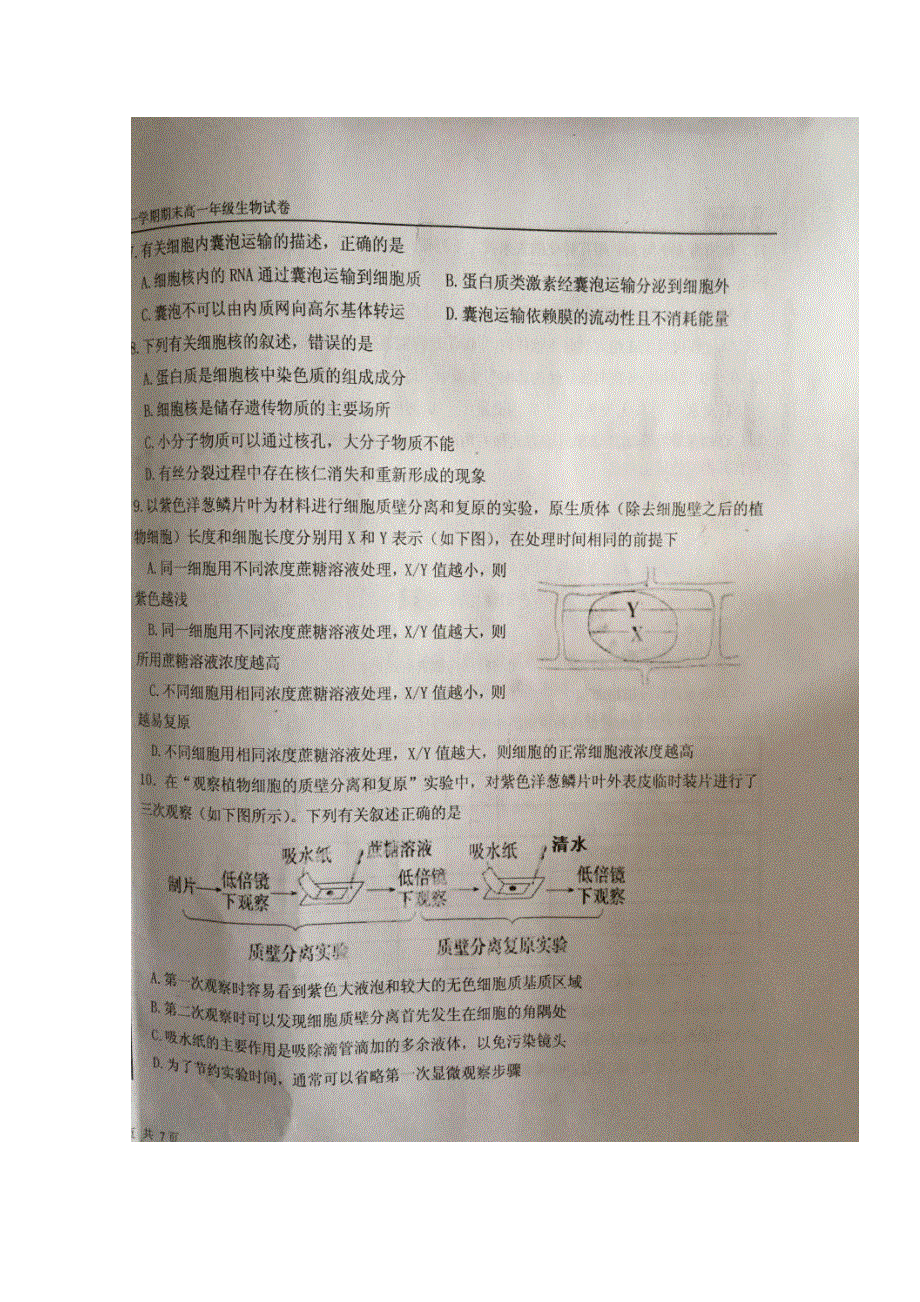 内蒙古包钢第一中学2015-2016学年高一上学期期末考试生物试题 扫描版无答案.doc_第2页