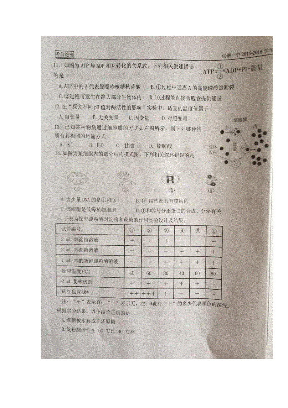 内蒙古包钢第一中学2015-2016学年高一上学期期末考试生物试题 扫描版无答案.doc_第3页