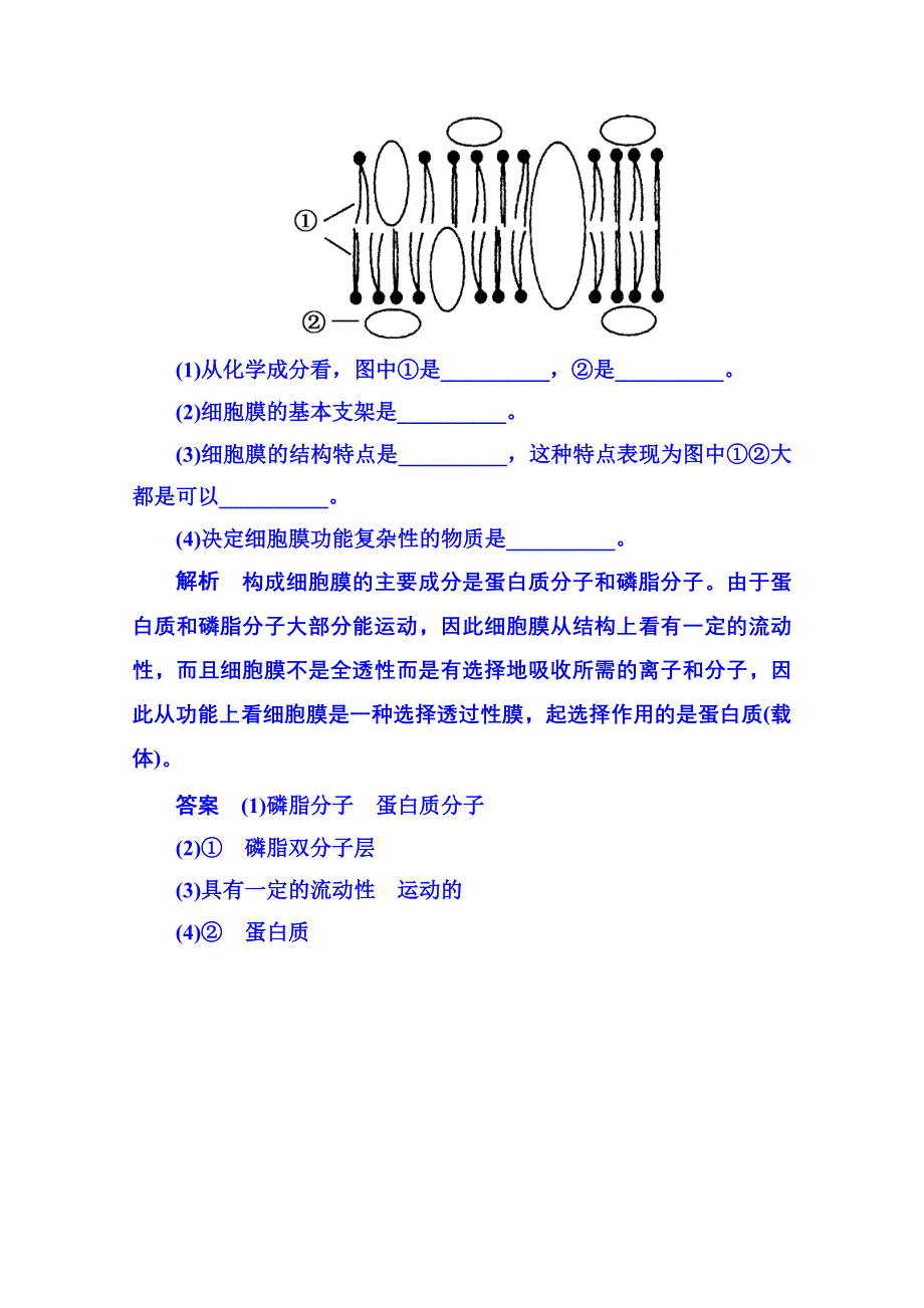 2014-2015学年高中生物随堂巩固训练必修一 4-2细胞的物质输入与输出.doc_第3页