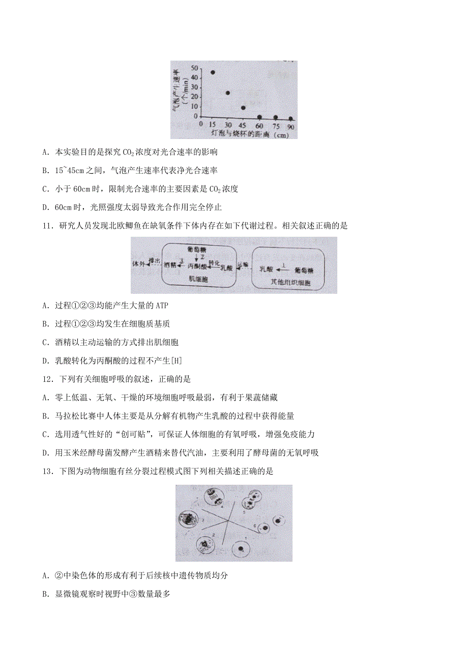 北京市中央民族大学附属中学2021届高三生物9月月考试题.doc_第3页