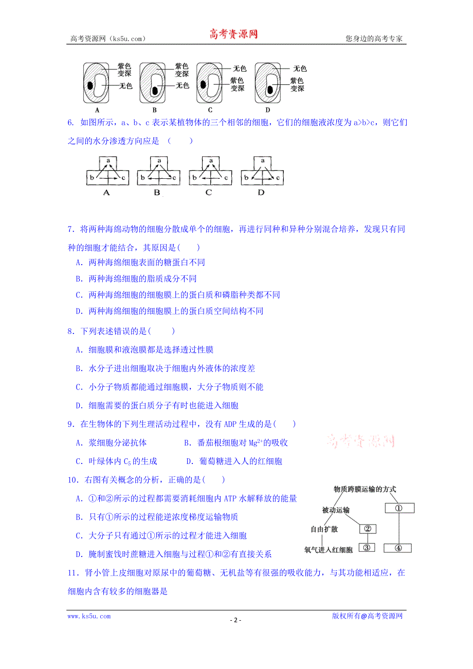 山东省济宁市微山县第一中学2015-2016学年高一上学期12月（第二次）阶段测试生物试题（重点班） WORD版含答案.doc_第2页