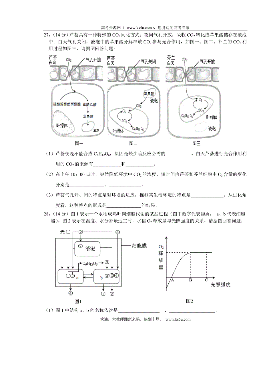 广东省揭阳第一中学2012届高三第一次阶段考试题生物.doc_第3页