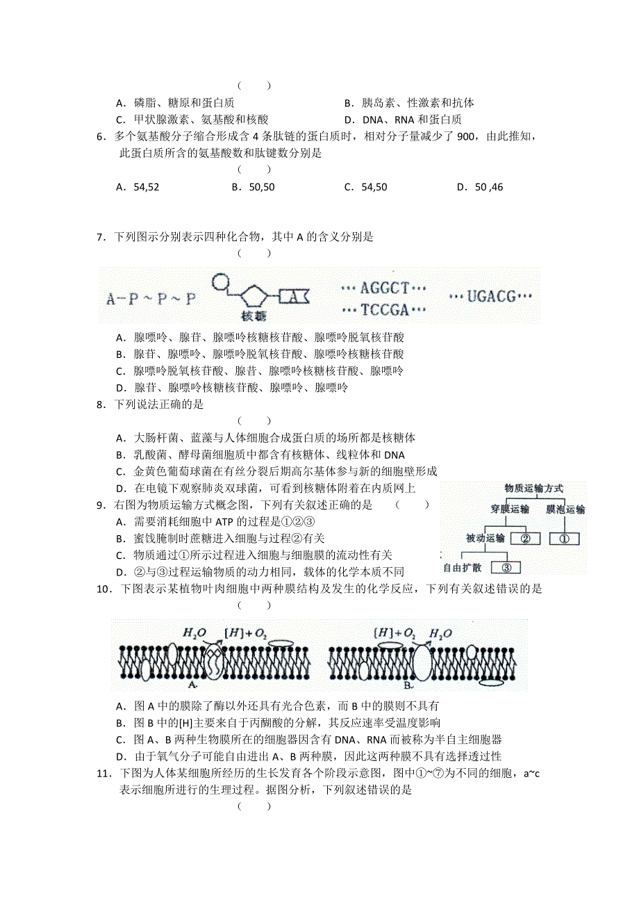 北京市丰台区2012届高三上学期期末考试 生物.doc_第2页