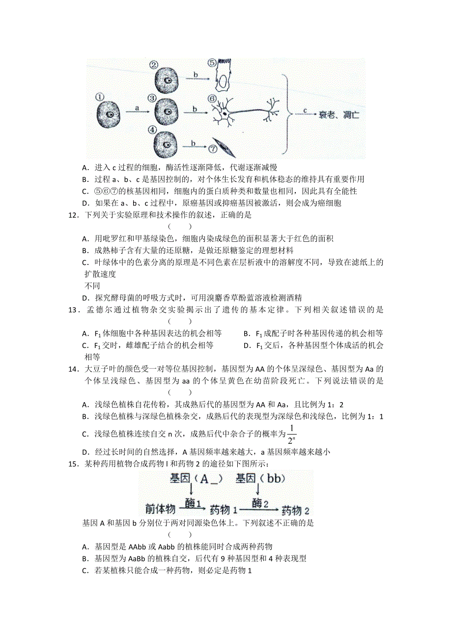 北京市丰台区2012届高三上学期期末考试 生物.doc_第3页