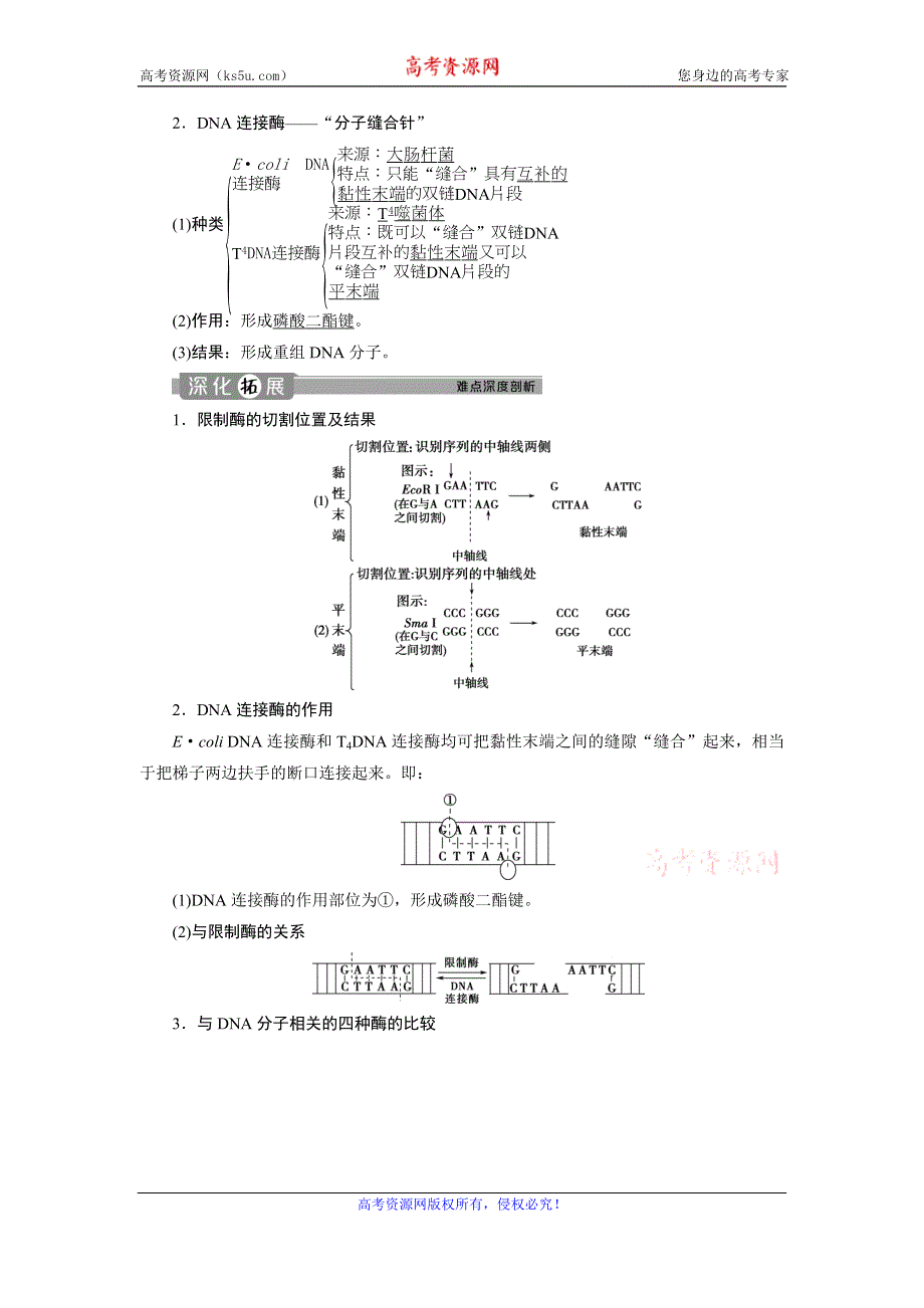 2019-2020学年人教版生物选修三江苏专用学案：1．1　DNA重组技术的基本工具 WORD版含答案.doc_第3页