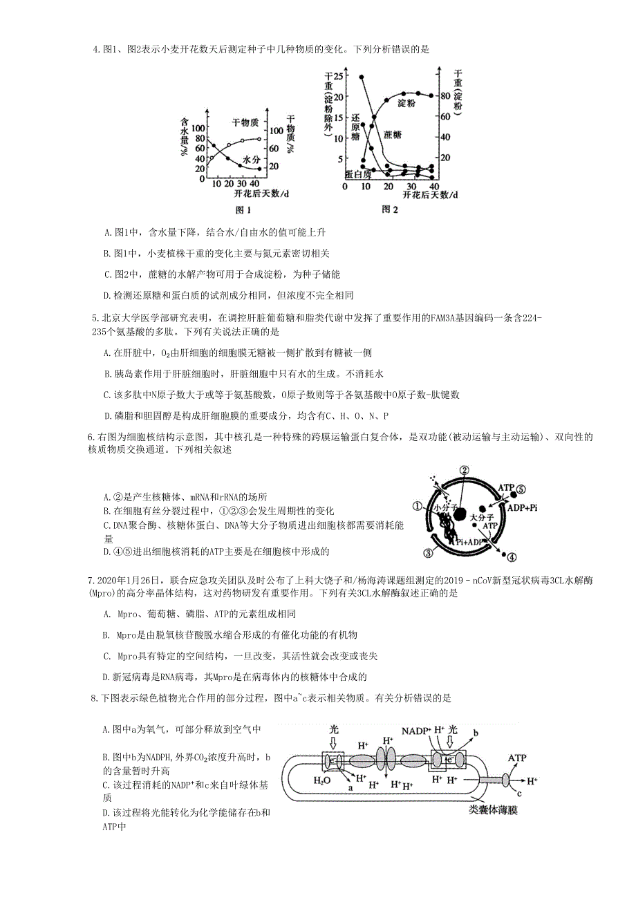 山西省运城市2022-2023学年高三上学期11月期中考试生物试题WORD版含答案.docx_第3页