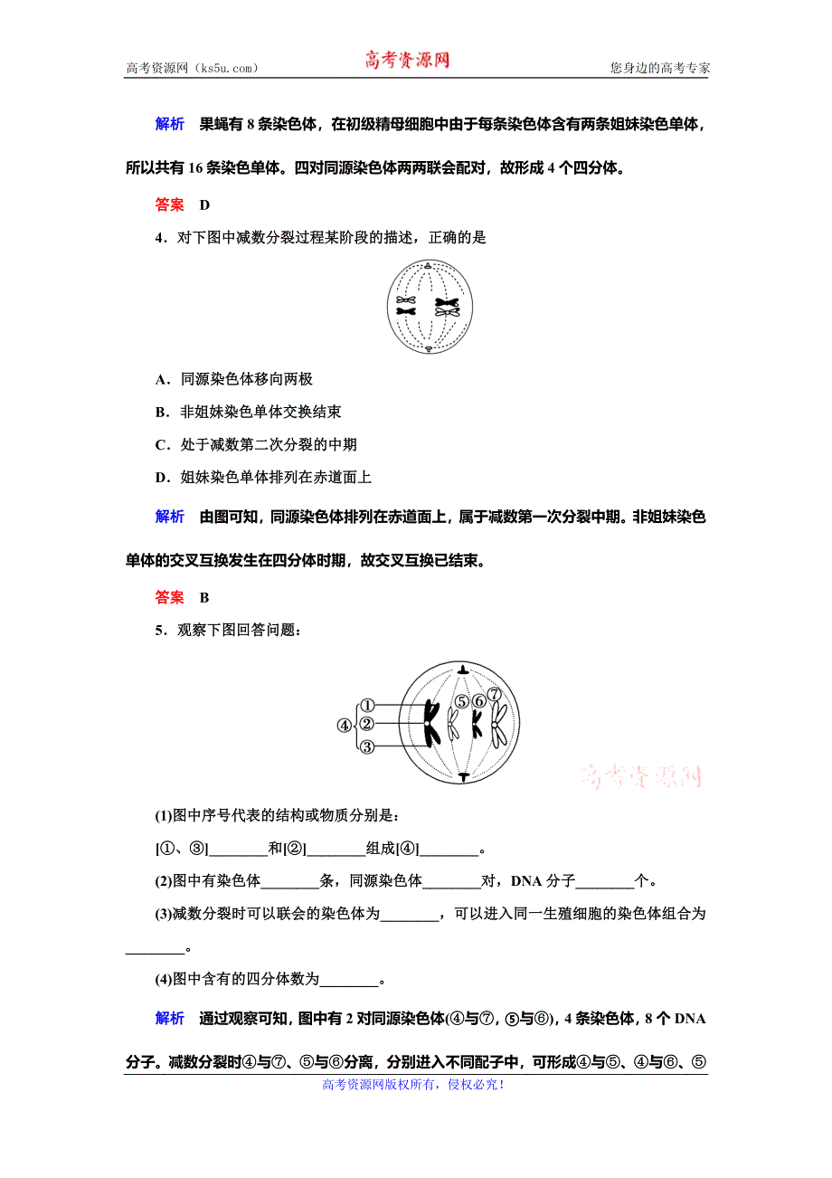 2019-2020学年人教版生物必修二抢分教程能力提升：第2章 第1节 第1课时　减数分裂（一） WORD版.doc_第2页