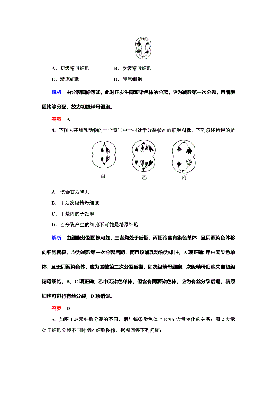 2019-2020学年人教版生物必修二抢分教程能力提升：第2章 第1节 第1课时　减数分裂（二） WORD版.doc_第2页