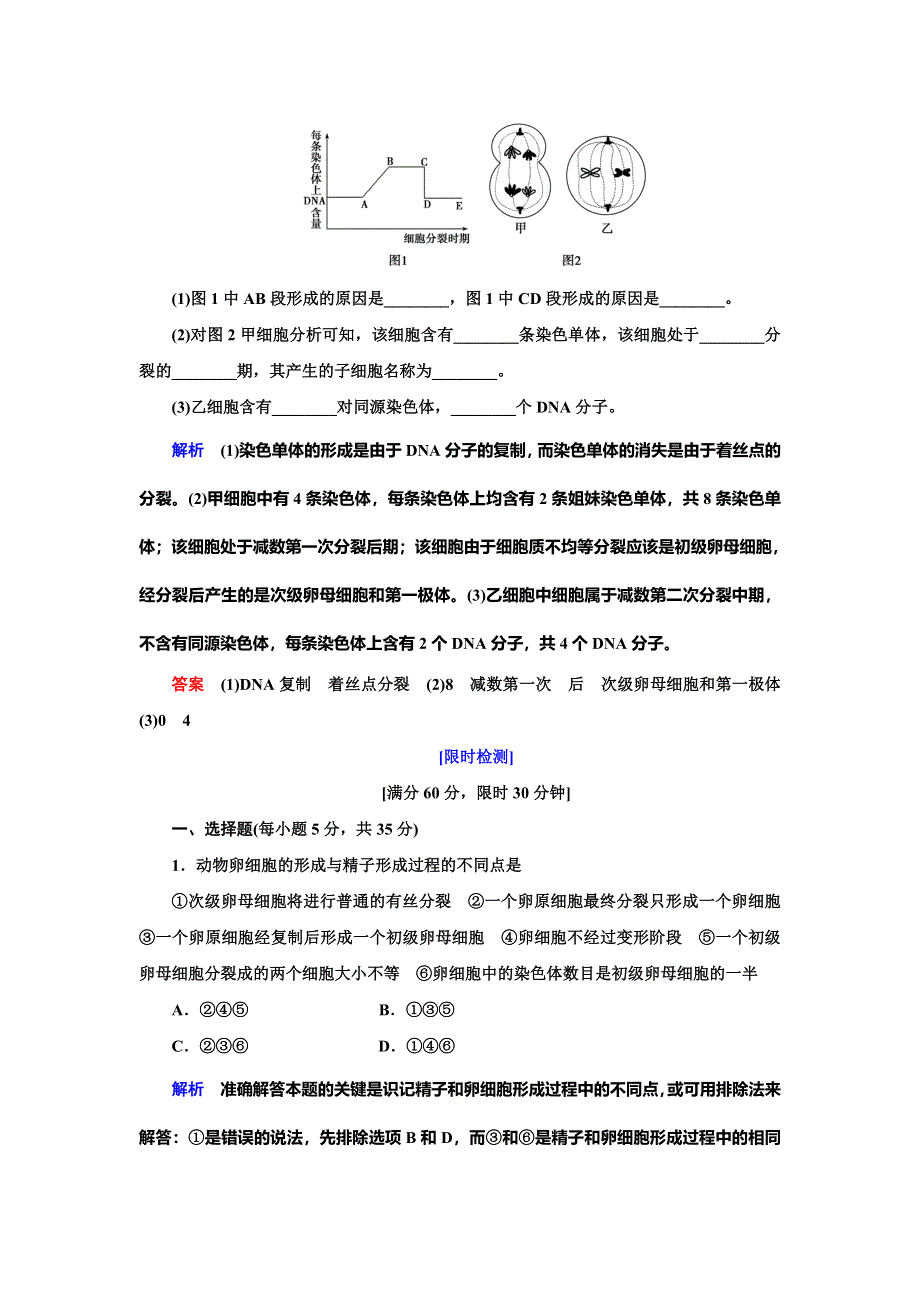 2019-2020学年人教版生物必修二抢分教程能力提升：第2章 第1节 第1课时　减数分裂（二） WORD版.doc_第3页