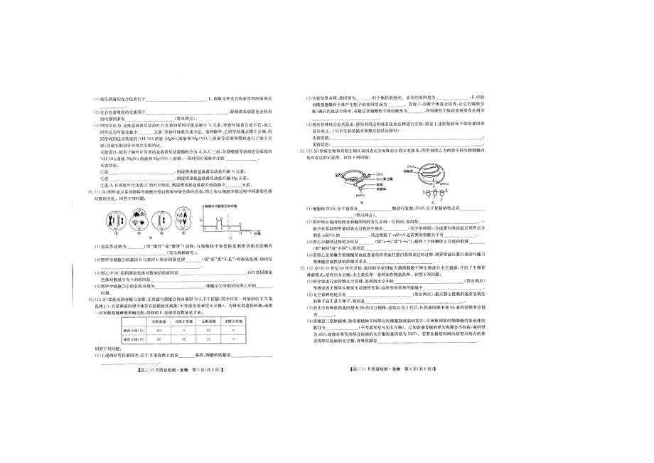 山西省长治市第二中学校2021届高三上学期11月质量检测生物试卷 扫描版含答案.docx_第3页