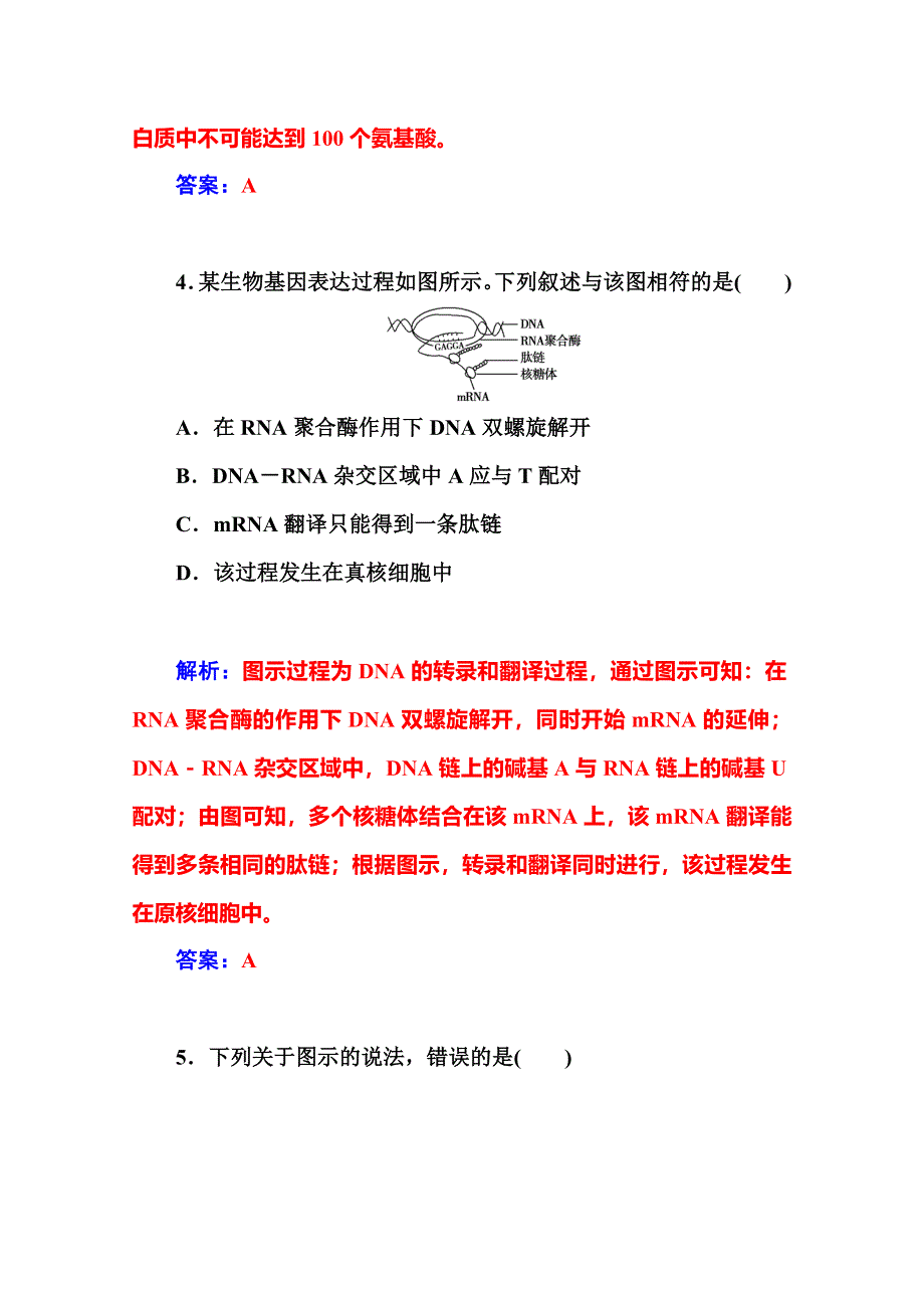 2014-2015学年高中生物人教版必修二同步课时训练：第4章 第1节　基因指导蛋白质的合成.doc_第3页