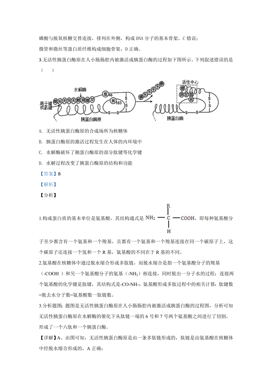 北京市东城区龙潭中学2020届高三上学期期中考试生物试题 WORD版含解析.doc_第2页