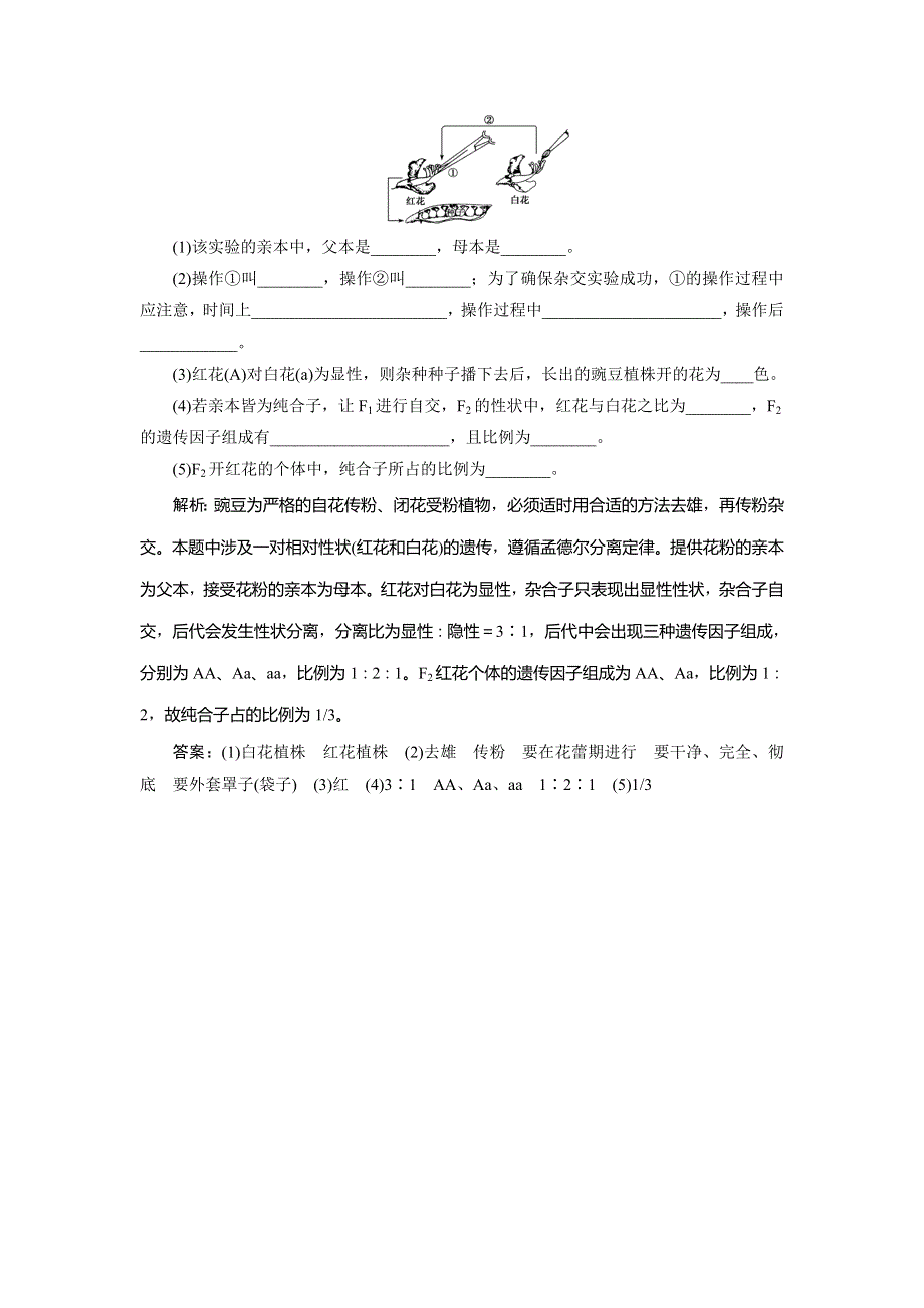 2019-2020学年人教版生物必修二新素养同步练习：第1章 第1节　孟德尔的豌豆杂交实验　随堂达标检测（一）（Ⅰ） WORD版含解析.doc_第3页