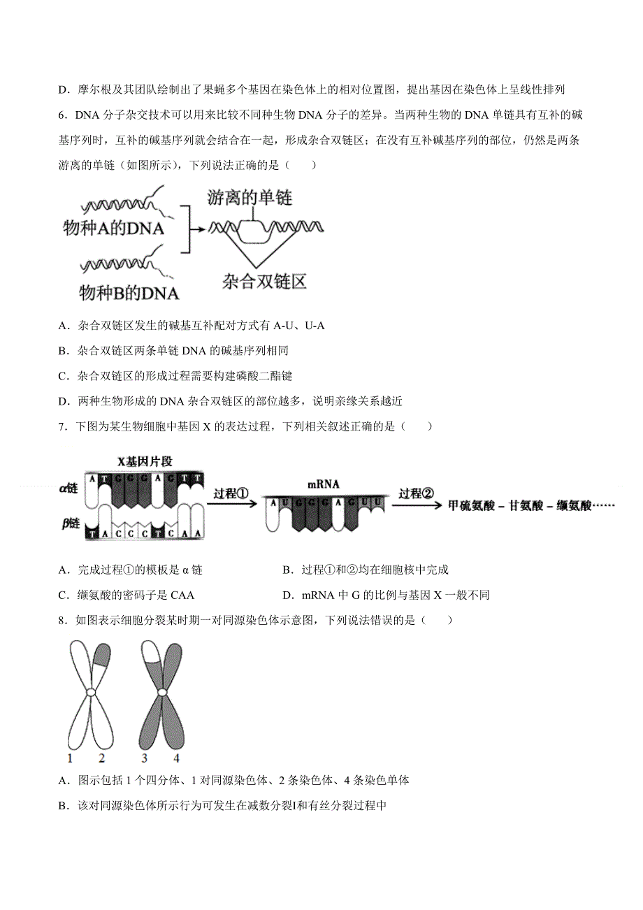 期末测试卷02-2021-2022学年高一生物下学期期末测试卷（苏教版2019必修2）（原卷版）.docx_第2页