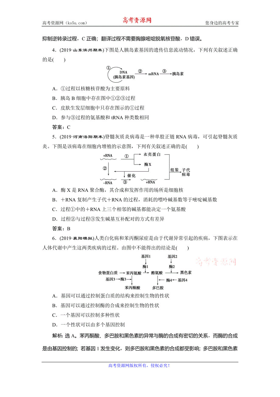 2019-2020学年人教版生物必修二新素养同步练习：第4章 第2节　基因对性状的控制　随堂达标检测 WORD版含解析.doc_第2页