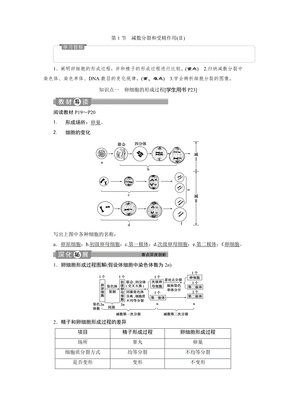 2019-2020学年人教版生物必修二新素养同步讲义：第2章 第1节　减数分裂和受精作用（Ⅱ） WORD版含答案.doc_第1页