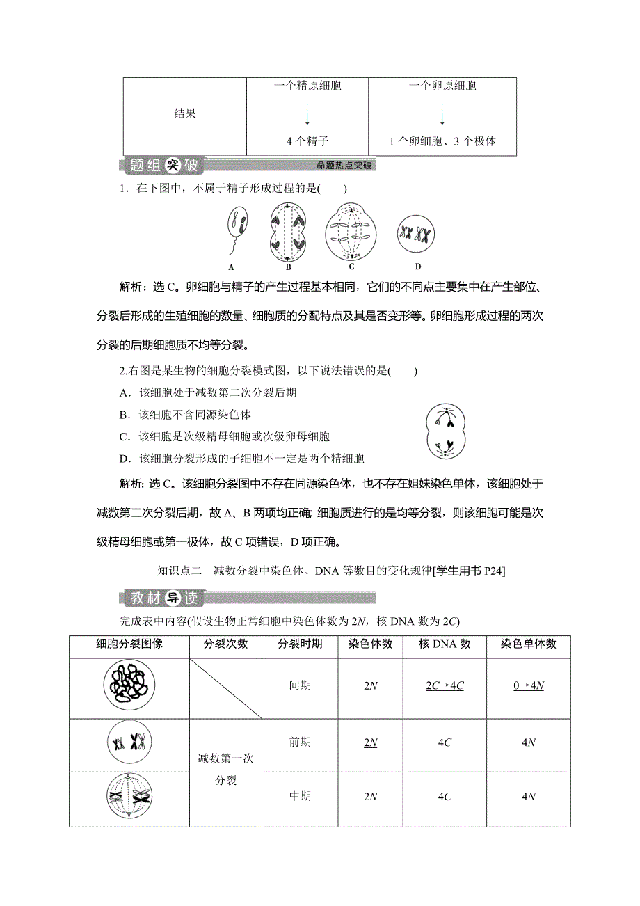 2019-2020学年人教版生物必修二新素养同步讲义：第2章 第1节　减数分裂和受精作用（Ⅱ） WORD版含答案.doc_第2页