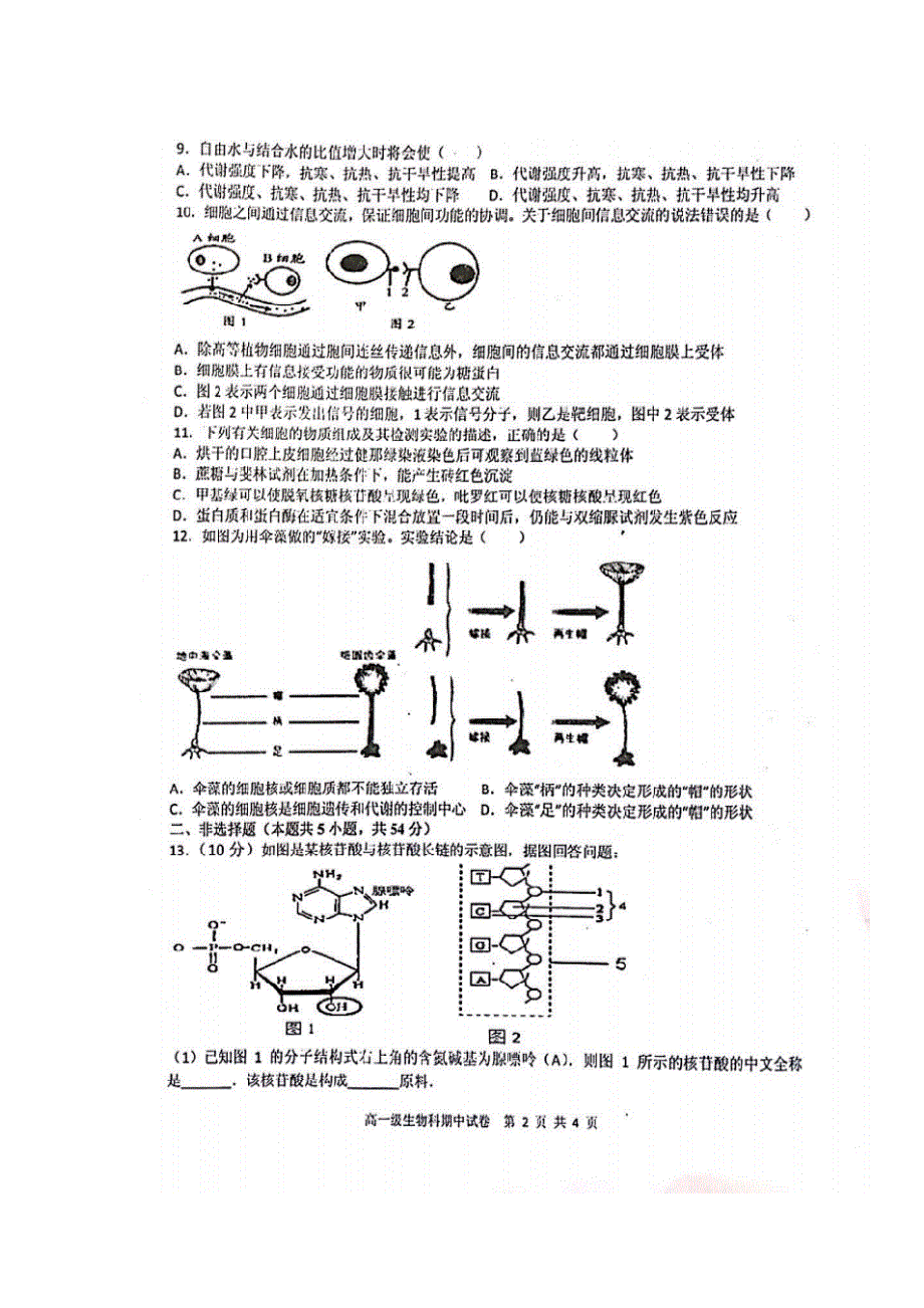 广东省揭阳市第三中学揭阳产业园2018-2019学年高一上学期期中考试生物试题 扫描版缺答案.doc_第2页