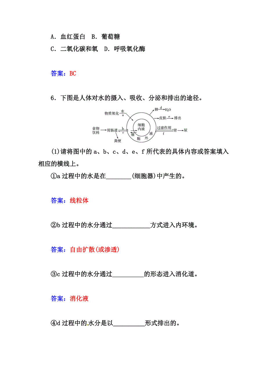 2014-2015学年高中生物知能提升必修三（人教版）第1章 人体的内环境与稳态 第1节 细胞生活的环境.doc_第3页