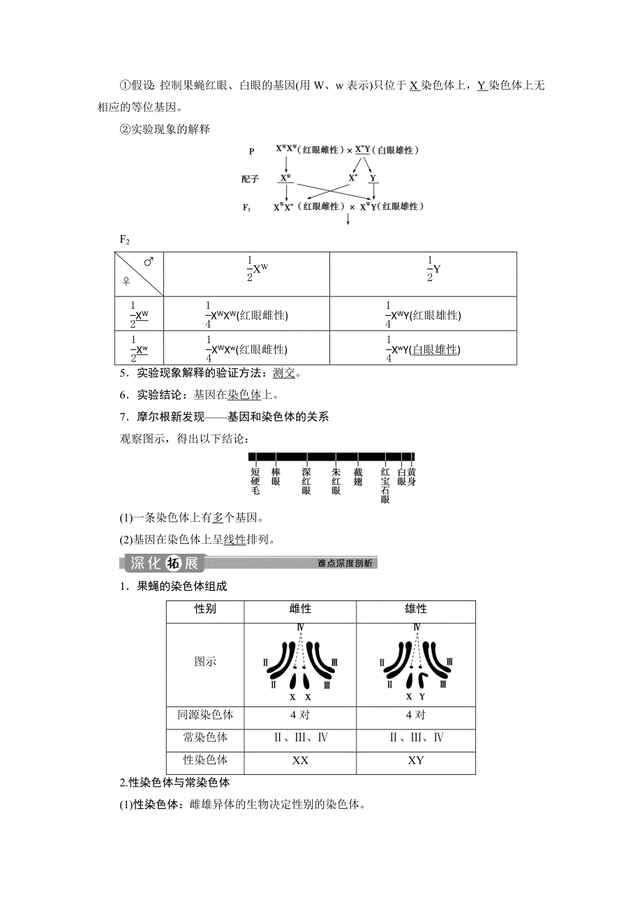 2019-2020学年人教版生物必修二江苏专用讲义：第2章 第2节　基因在染色体上 WORD版含答案.doc_第3页